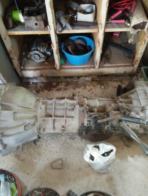 เกียร์ vivo 4 x4 เกียร์ vivo 4 x4