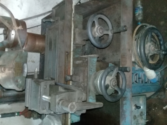 แทนเจีย japan