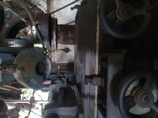 แทนเจีย japan