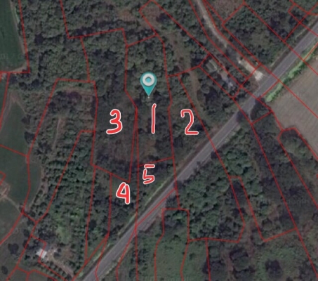 ขายที่ดินติดถนน246ตรว สามโคกปทุมธานี