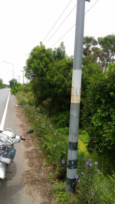 ขายที่ดินติดถนน246ตรว สามโคกปทุมธานี