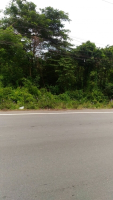 ขายที่ดินติดถนน246ตรว สามโคกปทุมธานี