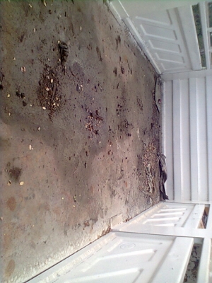 ขายกระบะสามมิตรลอนเฉียงพร้อมอุปกรณ์ ยาว 5.50 เมตร ขายกระบะสามมิตรลอนเฉียงพร้อมอุปกรณ์ ยาว 5.50 เมตร