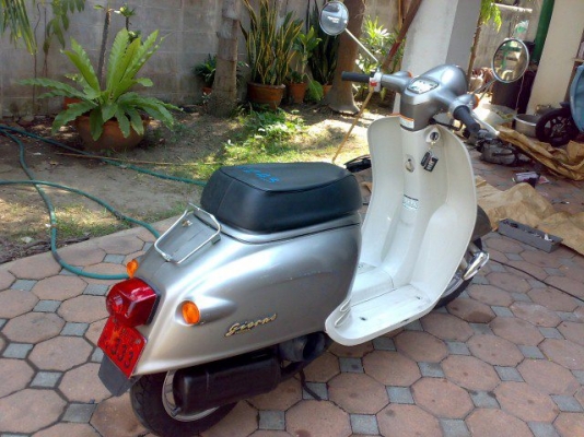Honda Giorno สีบอร์น สภาพสวย ประกอบใหม่ พร้อมรีโมท 17000