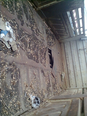 ขายกระบะสามมิตรลอนเฉียงพร้อมอุปกรณ์ ยาว 6 เมตร