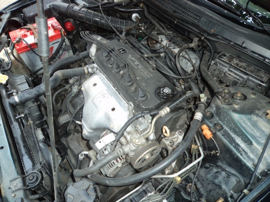 ขายด่วน ร้อน HONDA  ACCORD ปี 2000 งูเห่า