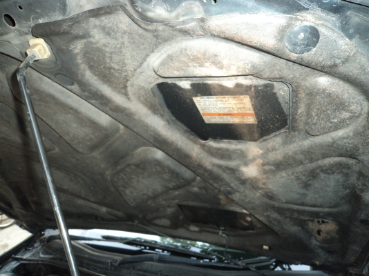 ขายด่วน ร้อน HONDA  ACCORD ปี 2000 งูเห่า