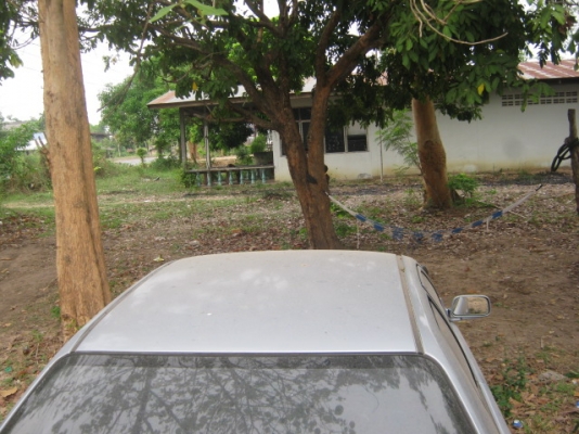 ขาย 30,000 บาท โทร 0836613829 ขาย 30,000 บาท โทร 0836613829