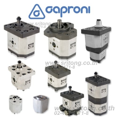 เกียร์ปั๊มไฮดรอลิก (Hydraulic Gear Pump)  Caproni