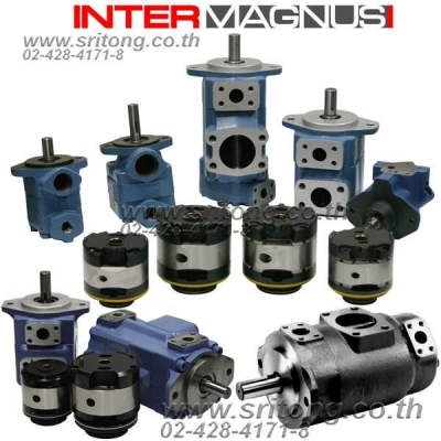 ปั๊มใบพัดไฮดรอลิก Hydraulic Vane Pump  Intermagnus