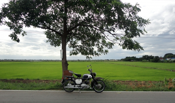 ขายc95 พร้อมทะเบียน 48000