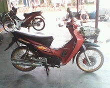 เวฟ 125 เล่มพร้อม/โอนลอย (หาตังค์จ่ายค่าเทอม)