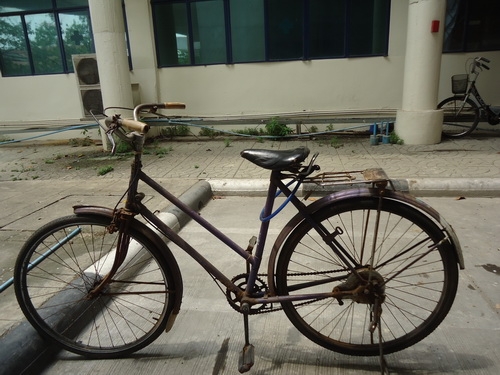 จักรยาน Standard 26