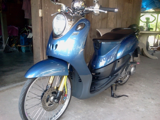 ขาย ฟีโน่ แต่งพองามซักคัน