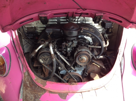 เต่า64 ตาหวานโดนน้ำมา 69000 ขายแล้วครับ เต่า64 ตาหวานโดนน้ำมา 69000 ขายแล้วครับ