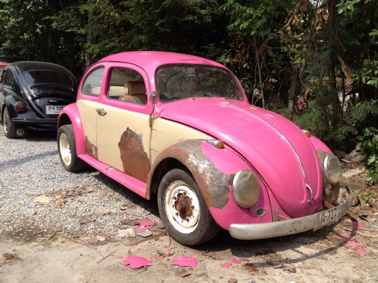 เต่า64 ตาหวานโดนน้ำมา 69000 ขายแล้วครับ