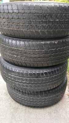 บริสโตนขอบ17 บริสโตนขอบ17