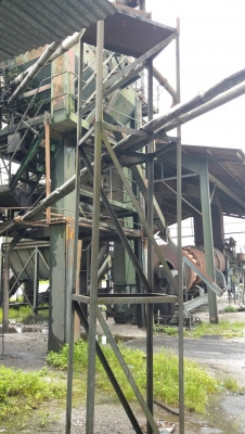 แพล้นยางBarbergreen