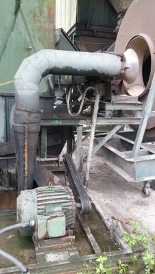 แพล้นยางBarbergreen