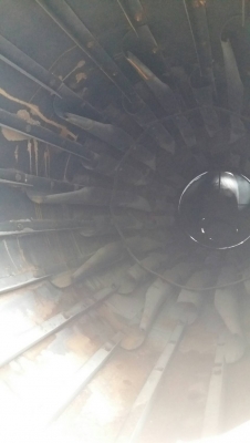 แพล้นยางBarbergreen