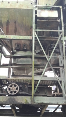 แพล้นยางBarbergreen