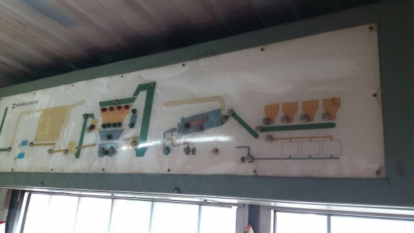 แพล้นยางBarbergreen