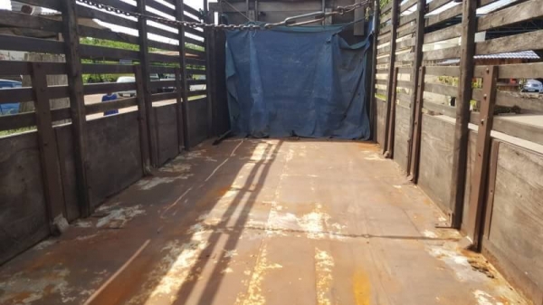 ขาย 665,000 รถพ่วงแม่-ลูกไม่ดั้ม HINO FL186 เพลาเดียว เครื่อง EK100 260 แรงม้า เกียร์ใหญ่ คัสซีสวยตลอดเส้น ลูก 2 เพลา 6 เมตร ทะเบียนครบพร้อมโอน  รถอยู่ จ.อุดรธานี 090-772-3710,090-772-3708