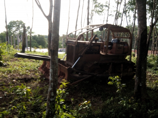 ขายรถแทรคเตอร์ KOMATSU D50A-15 ห้องเลี้ยวน้ำมัน ราคา 380000 ขายรถแทรคเตอร์ KOMATSU D50A-15 ห้องเลี้ยวน้ำมัน ราคา 380000
