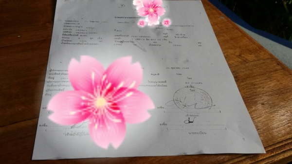 ขายรถบรรทุก 10 ล้อหัวลาก HINO MEGA 320 แรงม้าปี 2546 หางพื้นเรียบสามมิตร 3 เพลา ราคา 1300000