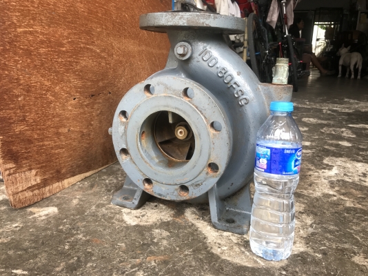 ขายหัวปั้มน้ำ Ebara 100x80 FSG ใบพัดทองเหลือง ขนาดเข้า 4นิ้ว ออก 3นิ้ว สภาพสวยมาก เดิมๆ พร้อมใช้งาน