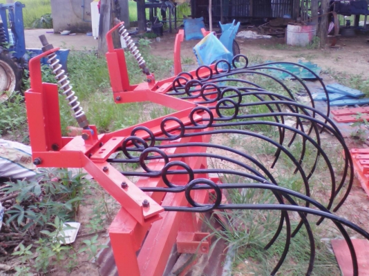 หนวดกุ้ง (คาดสปริง)