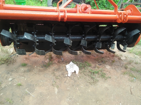 ขายโรตาลี่ 163 ตราช้าง ใบใหม่