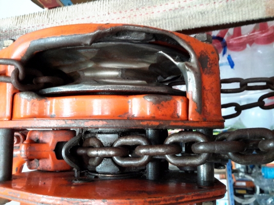 รอกโซ่ ตราช้าง 1.6 ตัน