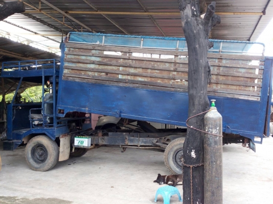 อีแต๋นสี่ล้อดั๊มพร้อมใช้งาน อีแต๋นสี่ล้อดั๊มพร้อมใช้งาน