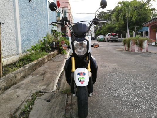 zoomer x ตัวtop คอมบายเบรค รถบ้านมือเดียว สด-ผ่อน รูดบัตรได้ zoomer x ตัวtop คอมบายเบรค รถบ้านมือเดียว สด-ผ่อน รูดบัตรได้