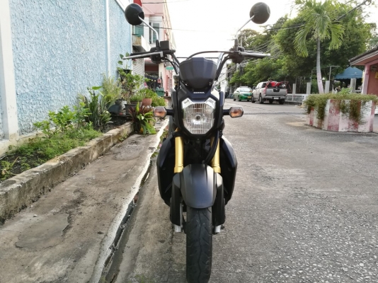 zoomer x วิ่งน้อย ตัวtop คอมบายเบรค รถบ้านมือเดียว สด-ผ่อน รูดบัตรได้ zoomer x วิ่งน้อย ตัวtop คอมบายเบรค รถบ้านมือเดียว สด-ผ่อน รูดบัตรได้