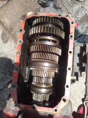 ขายเกียร์