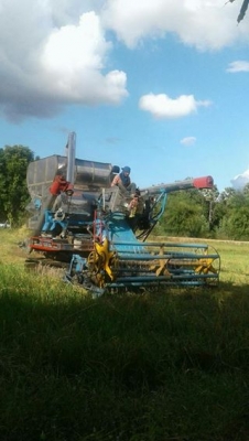 ขายรถเกี่ยวข้าวไทยเจริญ HO7Dเทอร์โบว์ช่วงล่าง10เพลาใหญ่ อุ้ม2.5ตัน ช่วงล่างดี ขายรถเกี่ยวข้าวไทยเจริญ HO7Dเทอร์โบว์ช่วงล่าง10เพลาใหญ่ อุ้ม2.5ตัน ช่วงล่างดี