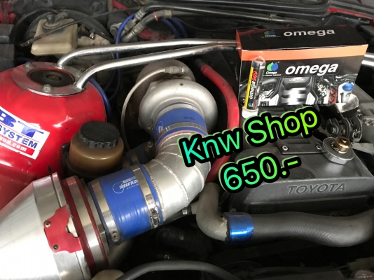 โอเมก้า Omega909