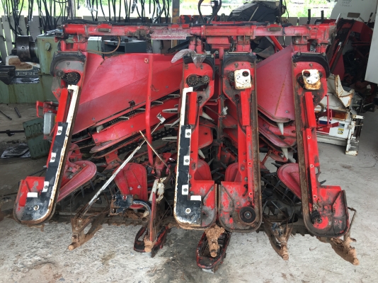 งาเกี่ยวข้าว