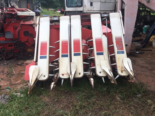 งาเกี่ยวข้าว