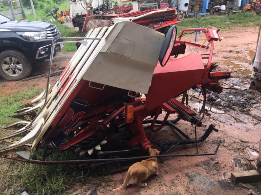 งาเกี่ยวข้าว