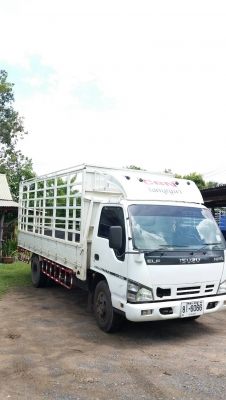 NPR 130 แรง ปี 2550 ยาว 5 เมตร รถเดิม มีคอกพร้อมใช้ โทร 086-071-8989 คุณป๋อง