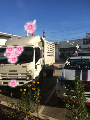 ขายรถบรรทุก 6 ล้อดัมพ์ ISUZU NQR 175 แรงม้าปี 2556 ราคา 750000