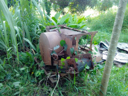 ขายเครื่องโม่มัน ขายเครื่องโม่มัน