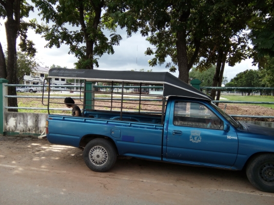 หลังคา ถอดจากไมตื้ x.   061  6319748