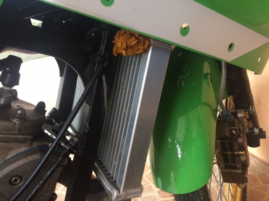 เซอร์ปิโก้ ทะเบียนครบ