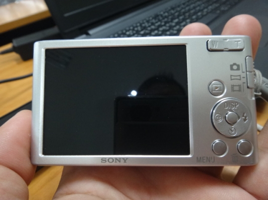 SONY W830