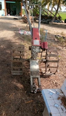 ขายตัวสยาม.มีหลายตัวให้เลือกครับ.สวยๆพร้อมใช้