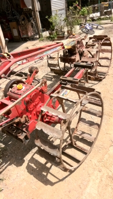 ขายตัวสยาม.มีหลายตัวให้เลือกครับ.สวยๆพร้อมใช้